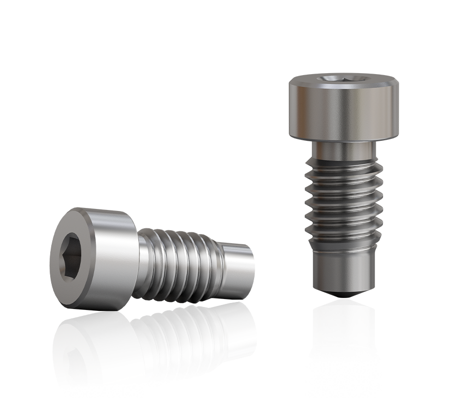 Zwei silberne Entlüftungsschrauben M6 aus Edelstahl mit Zylinderkopf und Innensechskant, freigestellt auf transparentem Hintergrund.