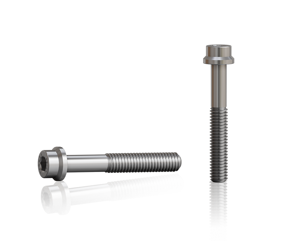 Zwei LER-Sonderschrauben M6 mit Bundkopf und metrischem Gewinde, eine liegend und eine stehend dargestellt, freigestellt auf transparentem Hintergrund.